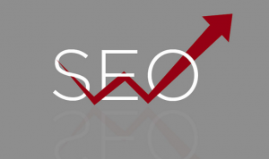 seo consulting