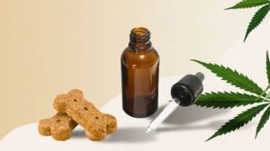 CBD oil