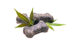 CBD pet treats