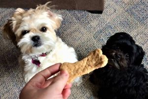 dog treat