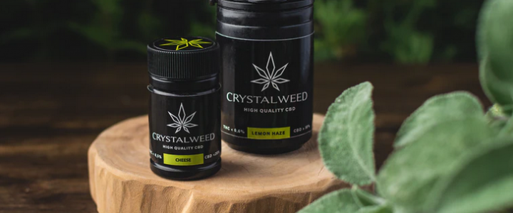 Why is CBD Popular?